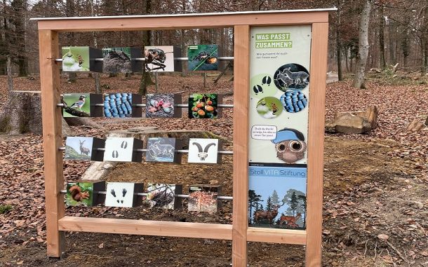 spielerisch die Natur erkunden